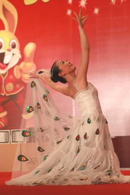 2011ÄêдºÁª»¶Íí»á