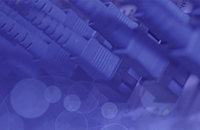 �������Ź���