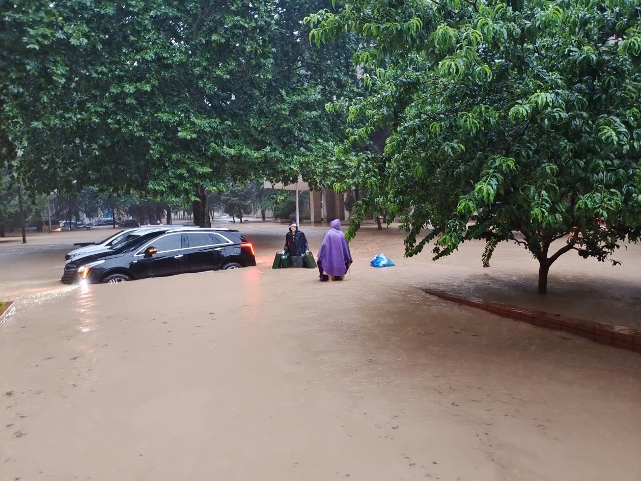 �������Ź���