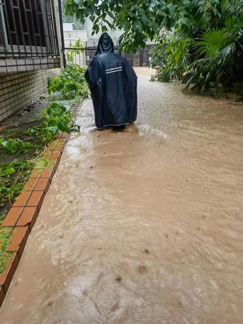 �������Ź���