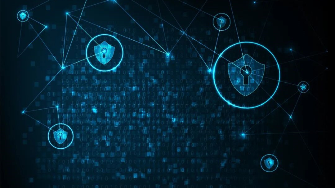 �������Ź���